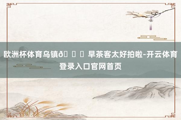 欧洲杯体育乌镇🎋早茶客太好拍啦-开云体育登录入口官网首页