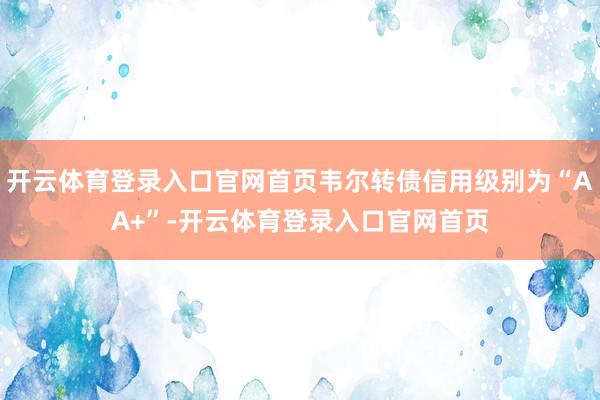 开云体育登录入口官网首页韦尔转债信用级别为“AA+”-开云体育登录入口官网首页