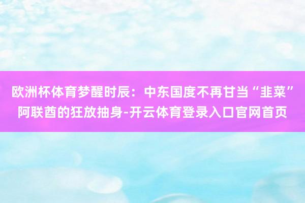 欧洲杯体育梦醒时辰：中东国度不再甘当“韭菜”阿联酋的狂放抽身-开云体育登录入口官网首页