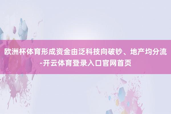 欧洲杯体育形成资金由泛科技向破钞、地产均分流-开云体育登录入口官网首页