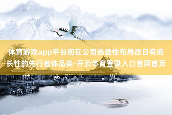体育游戏app平台现在公司选拔性布局改日有成长性的先行者体品类-开云体育登录入口官网首页