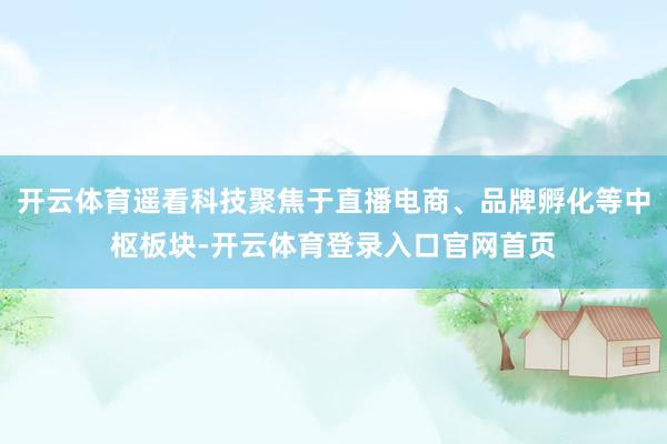开云体育遥看科技聚焦于直播电商、品牌孵化等中枢板块-开云体育登录入口官网首页