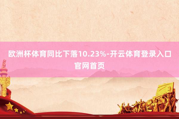 欧洲杯体育同比下落10.23%-开云体育登录入口官网首页