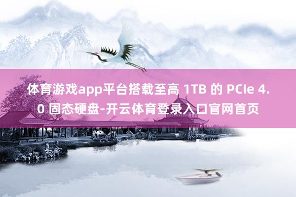 体育游戏app平台搭载至高 1TB 的 PCIe 4.0 固态硬盘-开云体育登录入口官网首页