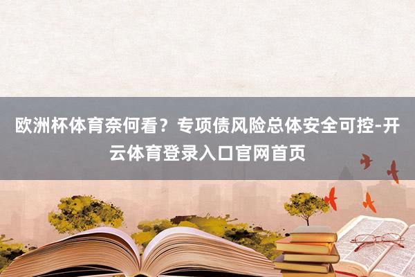 欧洲杯体育奈何看？专项债风险总体安全可控-开云体育登录入口官网首页