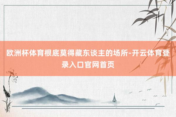 欧洲杯体育根底莫得藏东谈主的场所-开云体育登录入口官网首页